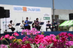 ほどがや花フェスタ2016